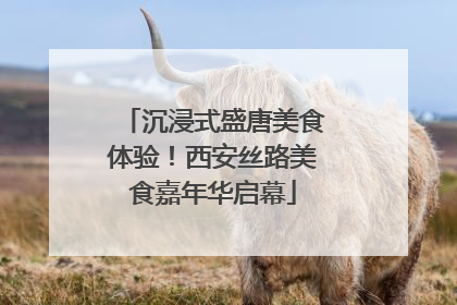 沉浸式盛唐美食体验！西安丝路美食嘉年华启幕