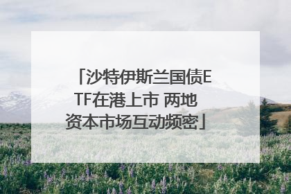 沙特伊斯兰国债ETF在港上市 两地资本市场互动频密