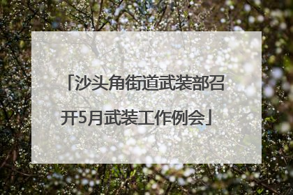 沙头角街道武装部召开5月武装工作例会
