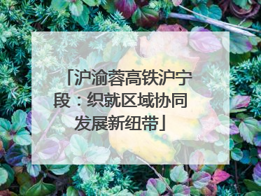 沪渝蓉高铁沪宁段：织就区域协同发展新纽带