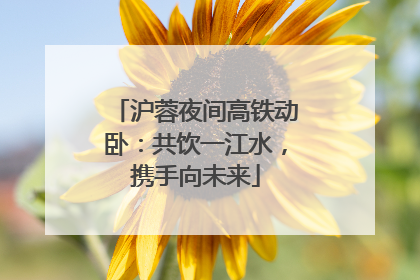 沪蓉夜间高铁动卧：共饮一江水，携手向未来