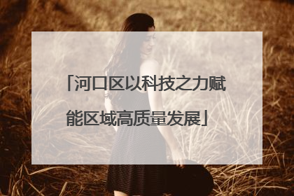 河口区以科技之力赋能区域高质量发展