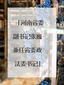 河南省委副书记张巍兼任省委政法委书记