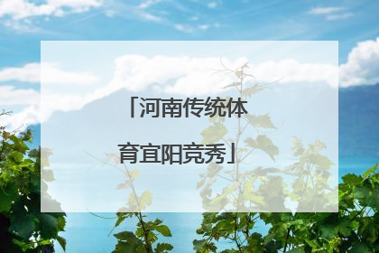 河南传统体育宜阳竞秀