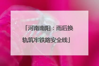 河南南阳：雨后换轨筑牢铁路安全线