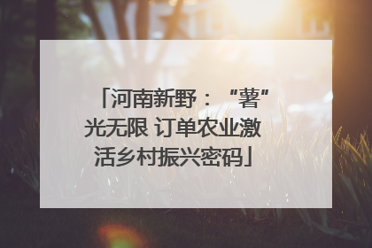 河南新野：“薯”光无限 订单农业激活乡村振兴密码