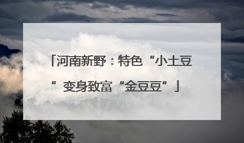 河南新野：特色“小土豆”变身致富“金豆豆”