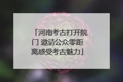河南考古打开院门 邀请公众零距离感受考古魅力