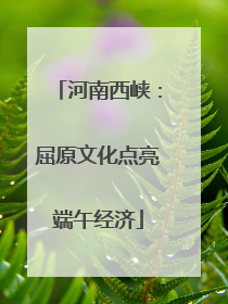 河南西峡：屈原文化点亮端午经济