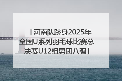 河南队跻身2025年全国U系列羽毛球比赛总决赛U12组男团八强
