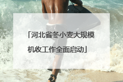 河北省冬小麦大规模机收工作全面启动