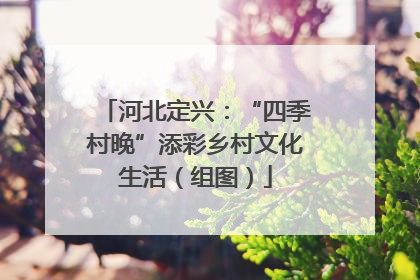 河北定兴：“四季村晚”添彩乡村文化生活（组图）