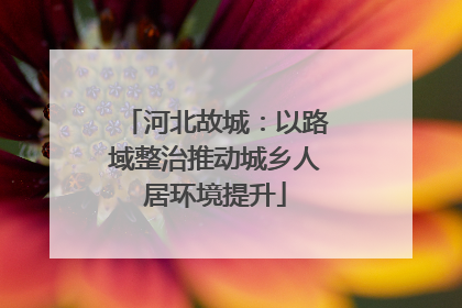 河北故城：以路域整治推动城乡人居环境提升