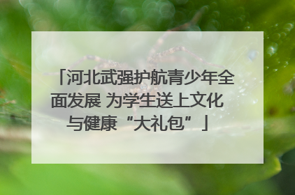 河北武强护航青少年全面发展 为学生送上文化与健康“大礼包”