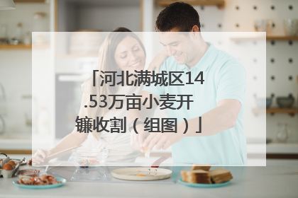 河北满城区14.53万亩小麦开镰收割（组图）