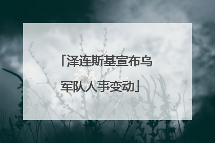泽连斯基宣布乌军队人事变动