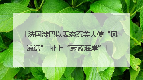法国涉巴以表态惹美大使“风凉话” 扯上“蔚蓝海岸”