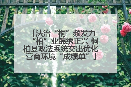 法治“桐”频发力 “柏”业锦绣正兴 桐柏县政法系统交出优化营商环境“成绩单”