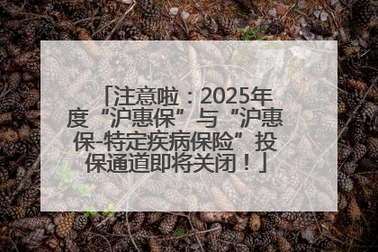 注意啦：2025年度“沪惠保”与“沪惠保-特定疾病保险”投保通道即将关闭！