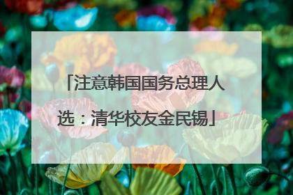 注意韩国国务总理人选：清华校友金民锡