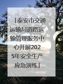 泰安市交通运输局道路运输管理服务中心开展2025年安全生产应急演练