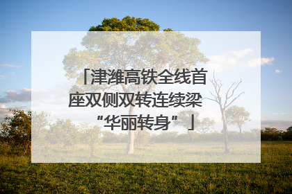 津潍高铁全线首座双侧双转连续梁“华丽转身”