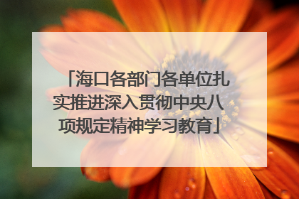 海口各部门各单位扎实推进深入贯彻中央八项规定精神学习教育