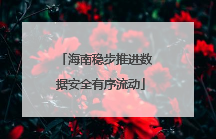 海南稳步推进数据安全有序流动