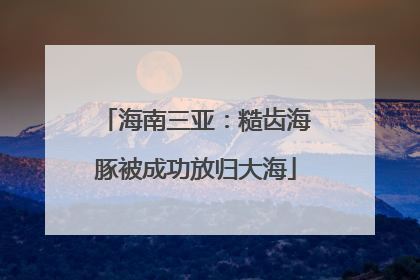 海南三亚：糙齿海豚被成功放归大海