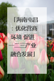 海南屯昌：优化营商环境 促进一二三产业融合发展