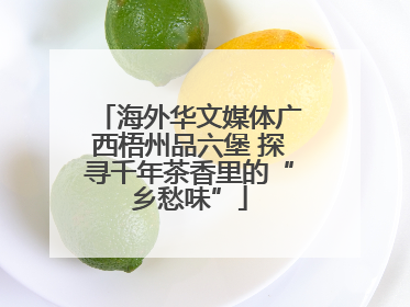 海外华文媒体广西梧州品六堡 探寻千年茶香里的“乡愁味”