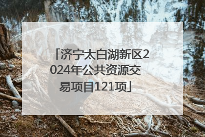 济宁太白湖新区2024年公共资源交易项目121项