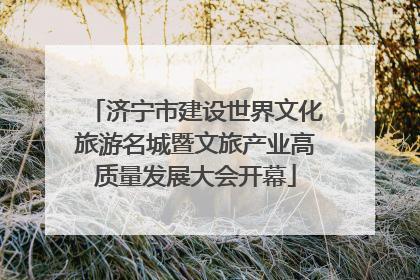 济宁市建设世界文化旅游名城暨文旅产业高质量发展大会开幕