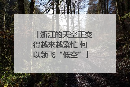 浙江的天空正变得越来越繁忙 何以领飞“低空”