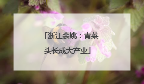 浙江余姚：青菜头长成大产业