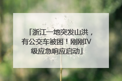 浙江一地突发山洪，有公交车被困！刚刚Ⅳ级应急响应启动