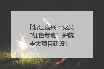浙江嘉兴：党员“红色专班”护航重大项目建设