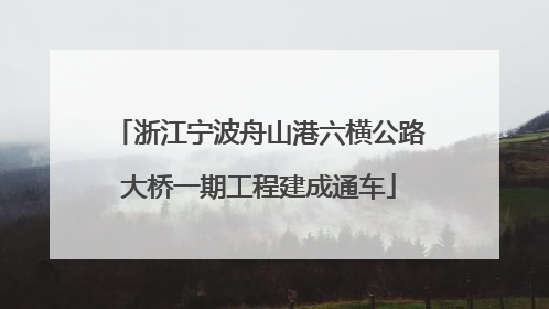 浙江宁波舟山港六横公路大桥一期工程建成通车