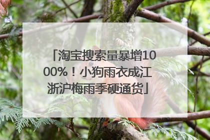 淘宝搜索量暴增1000%！小狗雨衣成江浙沪梅雨季硬通货