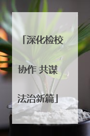 深化检校协作 共谋法治新篇