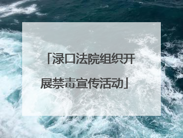 渌口法院组织开展禁毒宣传活动