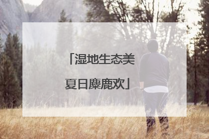 湿地生态美 夏日麋鹿欢