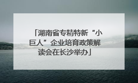 湖南省专精特新“小巨人”企业培育政策解读会在长沙举办
