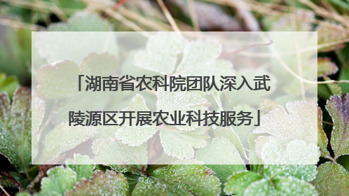湖南省农科院团队深入武陵源区开展农业科技服务