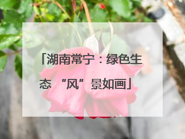 湖南常宁：绿色生态 “风”景如画