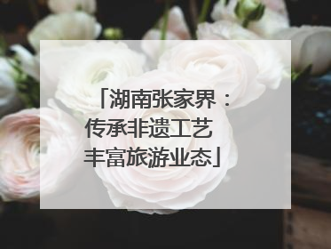 湖南张家界：传承非遗工艺 丰富旅游业态