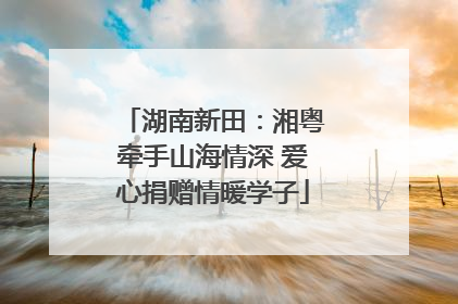湖南新田：湘粤牵手山海情深 爱心捐赠情暖学子