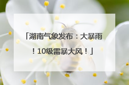 湖南气象发布：大暴雨！10级雷暴大风！