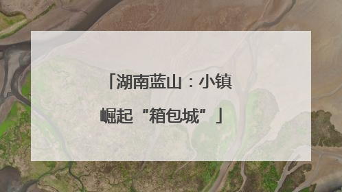 湖南蓝山：小镇崛起“箱包城”