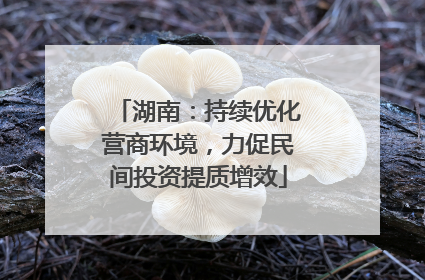 湖南：持续优化营商环境，力促民间投资提质增效